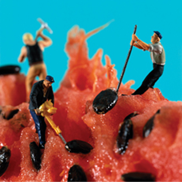 Watermelon seeders Watermelon seeders