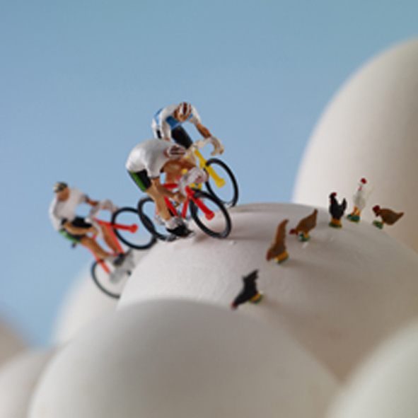 Egg cycling Egg cycling