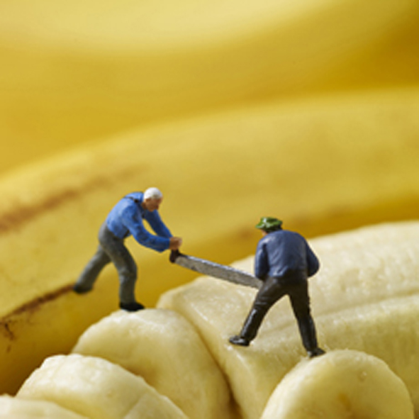 Banana splitters Banana splitters