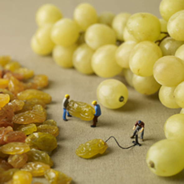 Raisin detre Raisin detre