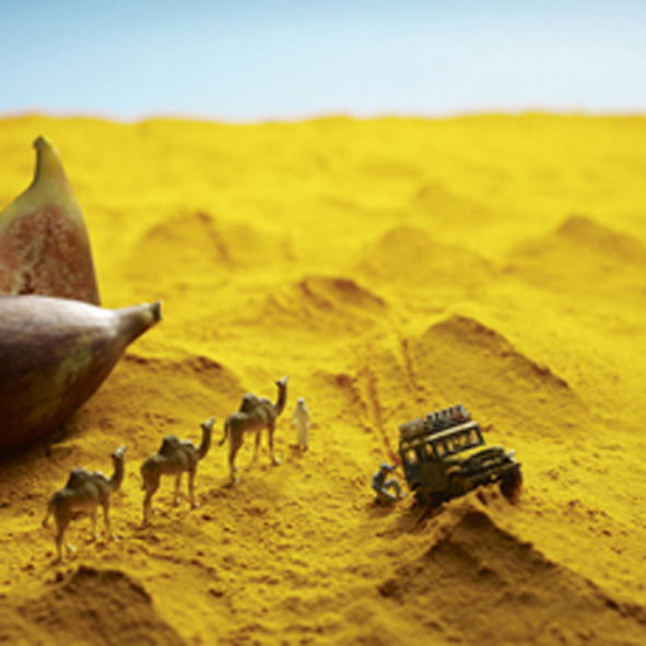 Spice route Spice route
