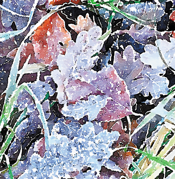 Winter leaves Winter leaves