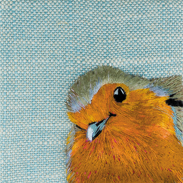 Robin Robin