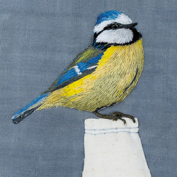 Blue tit Blue tit