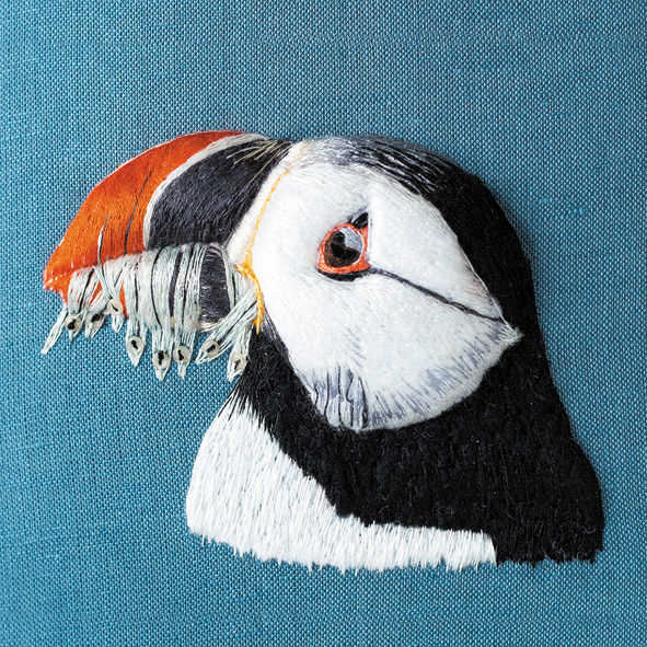 Puffin Puffin