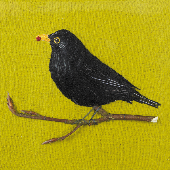 Blackbird Blackbird