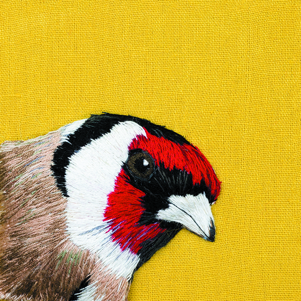 Goldfinch Goldfinch