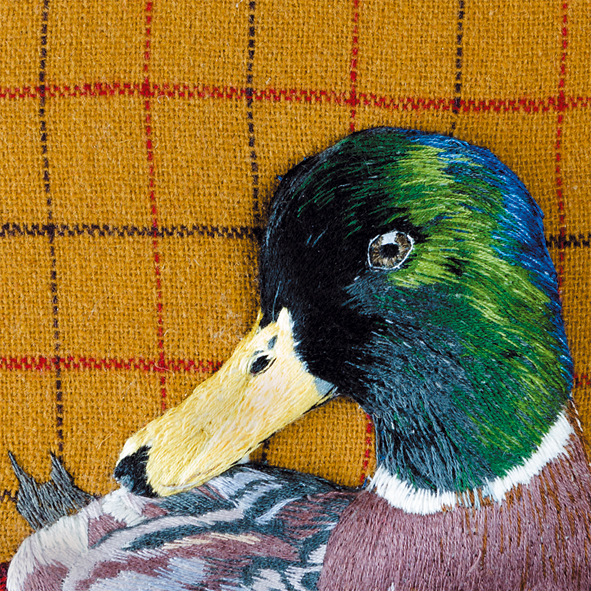 Mister mallard Mister mallard