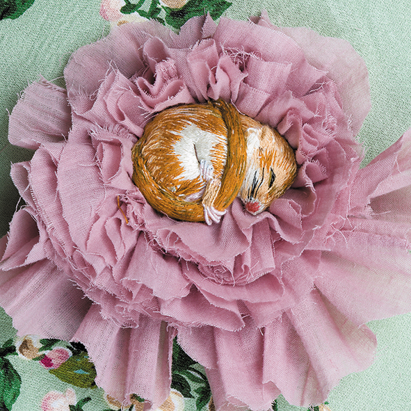 Dozing dormouse Dozing dormouse