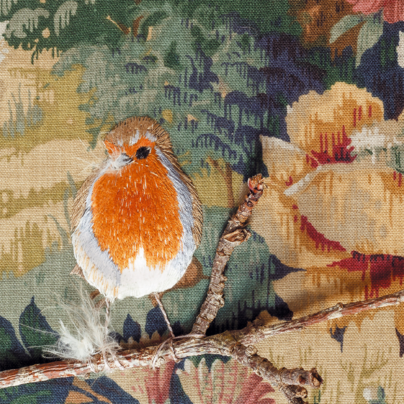 Robin redbreast Robin redbreast