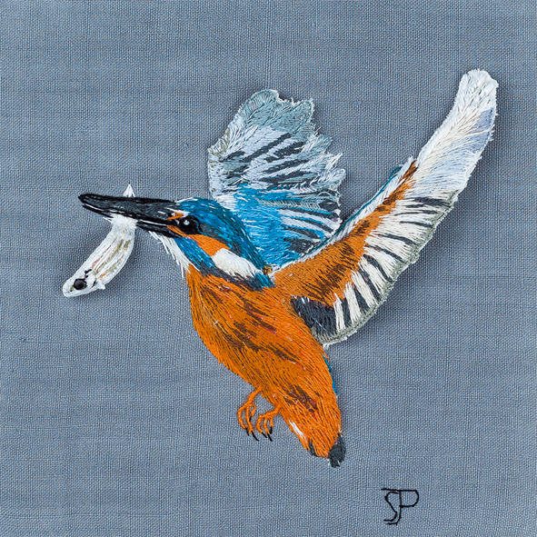 Kingfisher in flight Kingfisher in flight