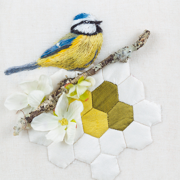 Blue tit on patchwork perch Blue tit on patchwork perch