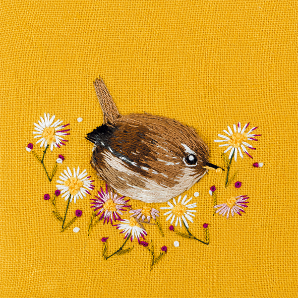 Wren with daisies Wren with daisies
