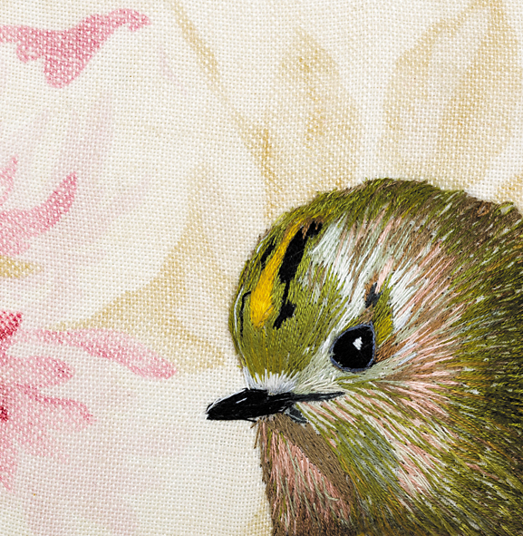 Goldcrest Goldcrest
