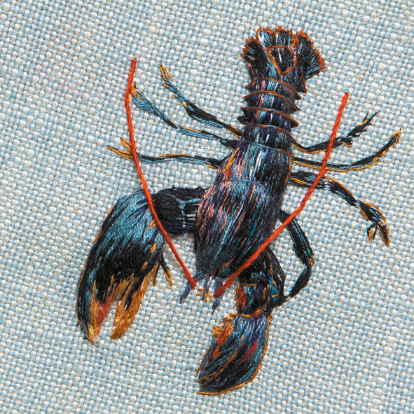 Native lobster Native lobster