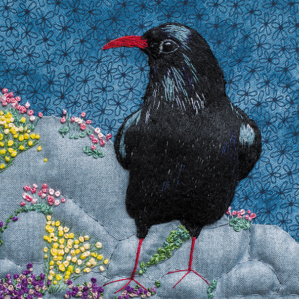 Chough Chough