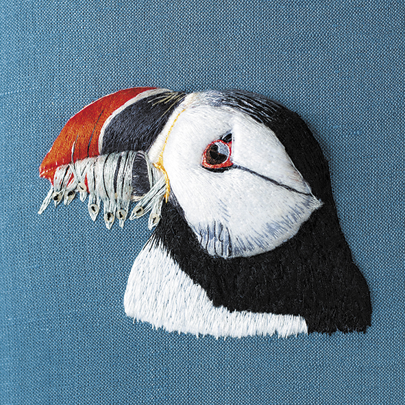Puffin profile Puffin profile