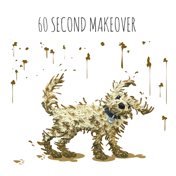 60 second makeover mini card 60 second makeover mini card