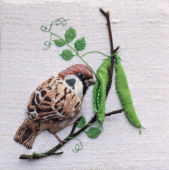 Sparrow with peapod Sparrow with peapod