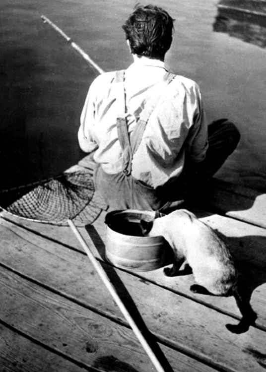 Man & cat fishing Man & cat fishing