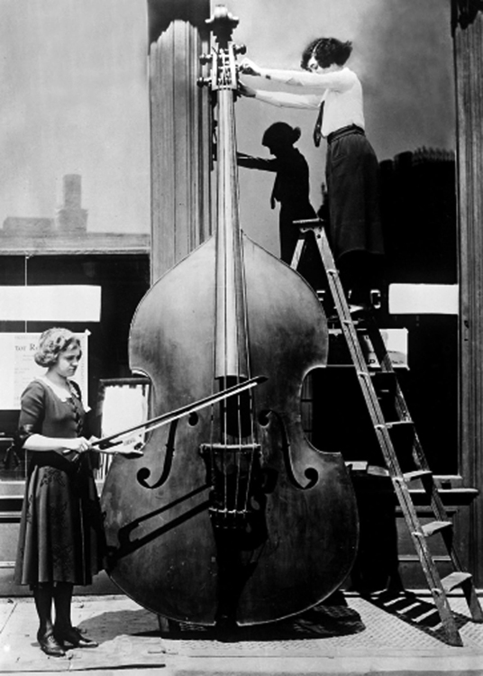 Enormous cello Enormous cello