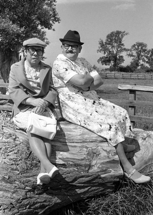 The Two Ronnies The Two Ronnies