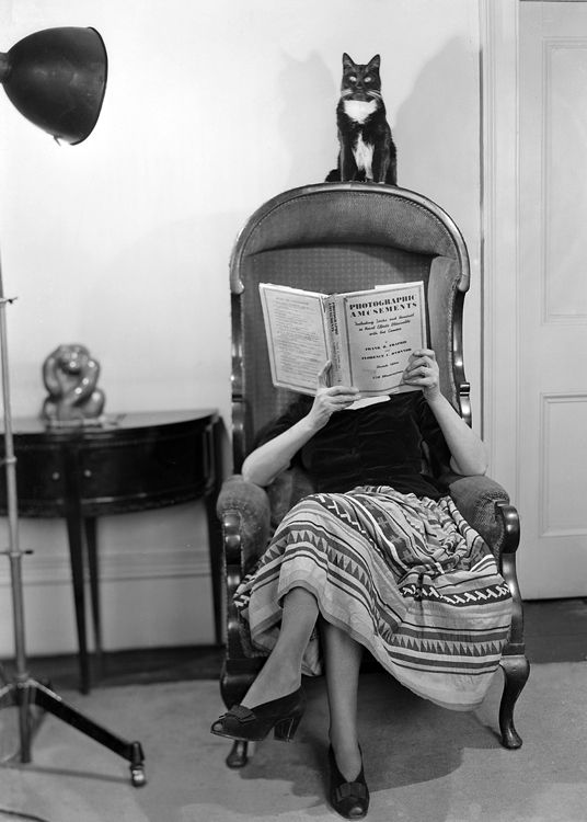 Woman reading with cat Woman reading with cat