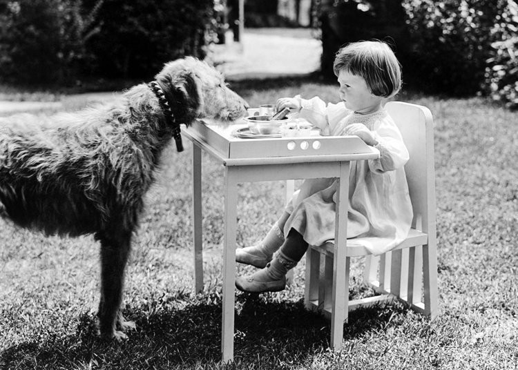 Girl & Dog at table Girl & Dog at table