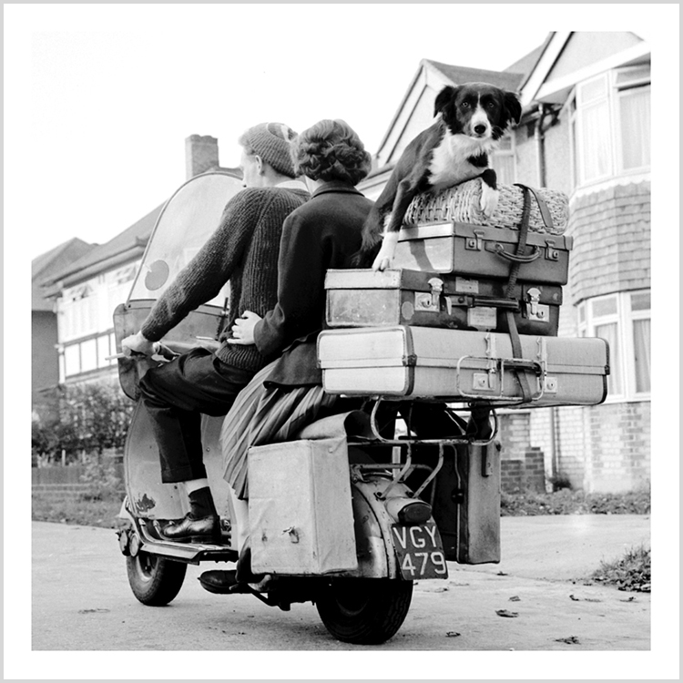 Dog on bike (square) Dog on bike (square)