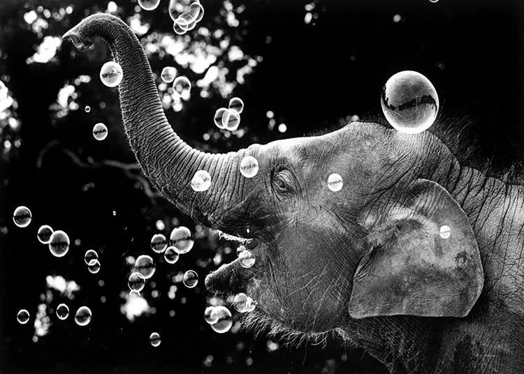Bella blowing bubbles Bella blowing bubbles