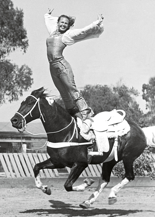 Horse stunt Horse stunt