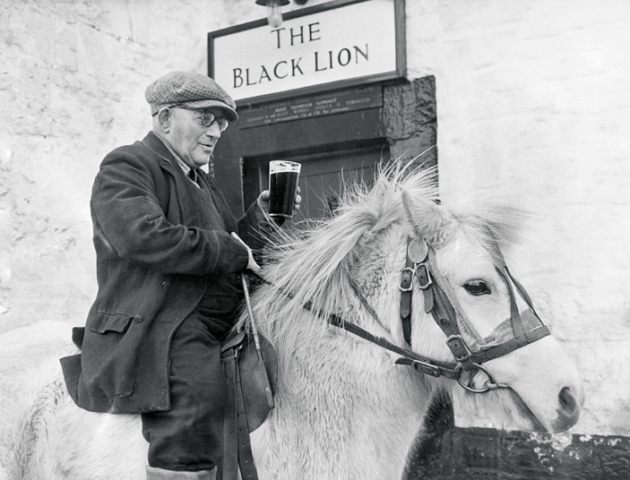 A pint at the Black Lion A pint at the Black Lion