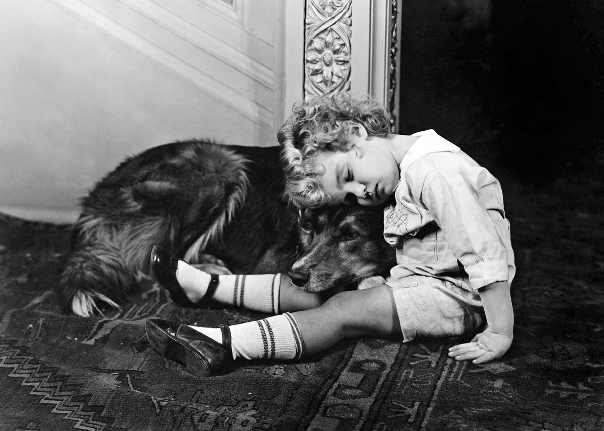 Boy and dog asleep Boy and dog asleep