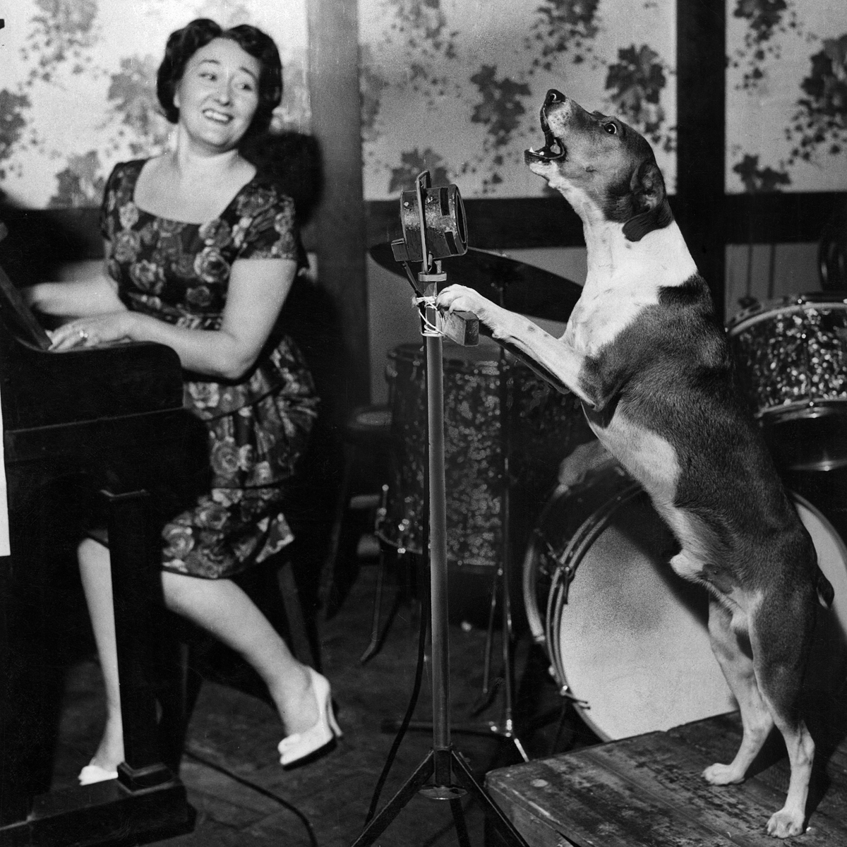 You hum it I'll play it You hum it I'll play it