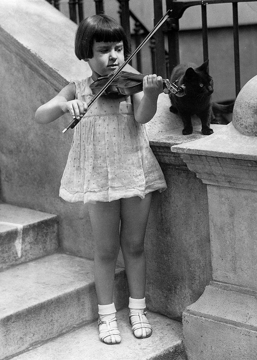 Violin and cat Violin and cat