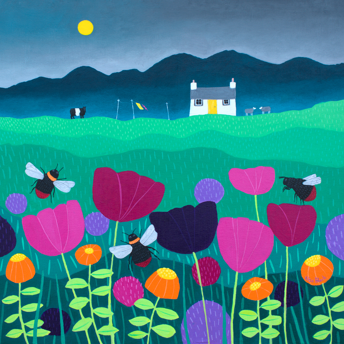 Summer meadow Summer meadow