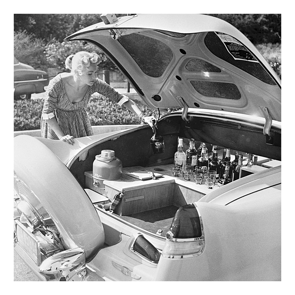 Mobile cocktail cabinet Mobile cocktail cabinet