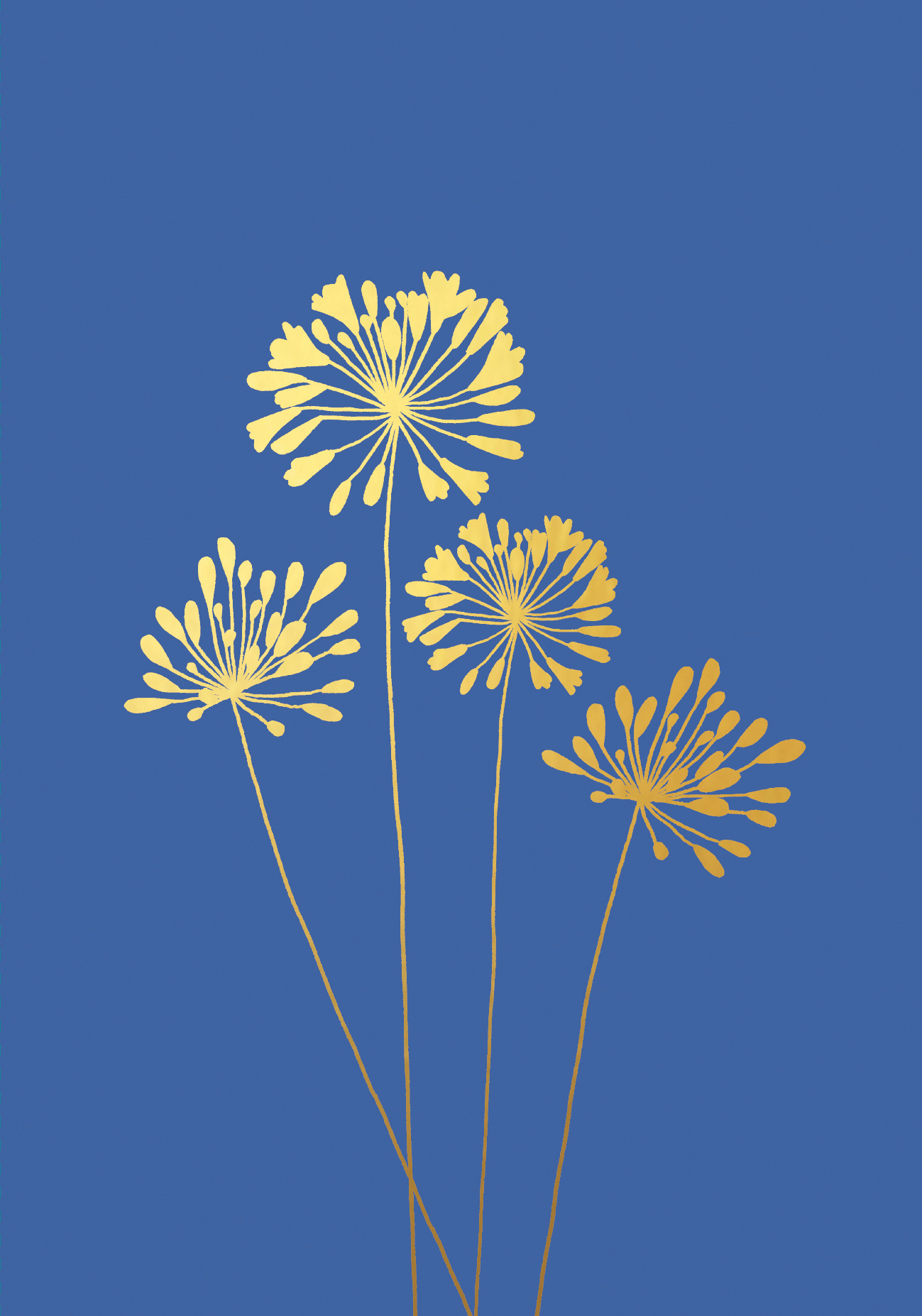 Agapanthus Blank Gold Greeting Card Agapanthus Blank Gold Greeting Card
