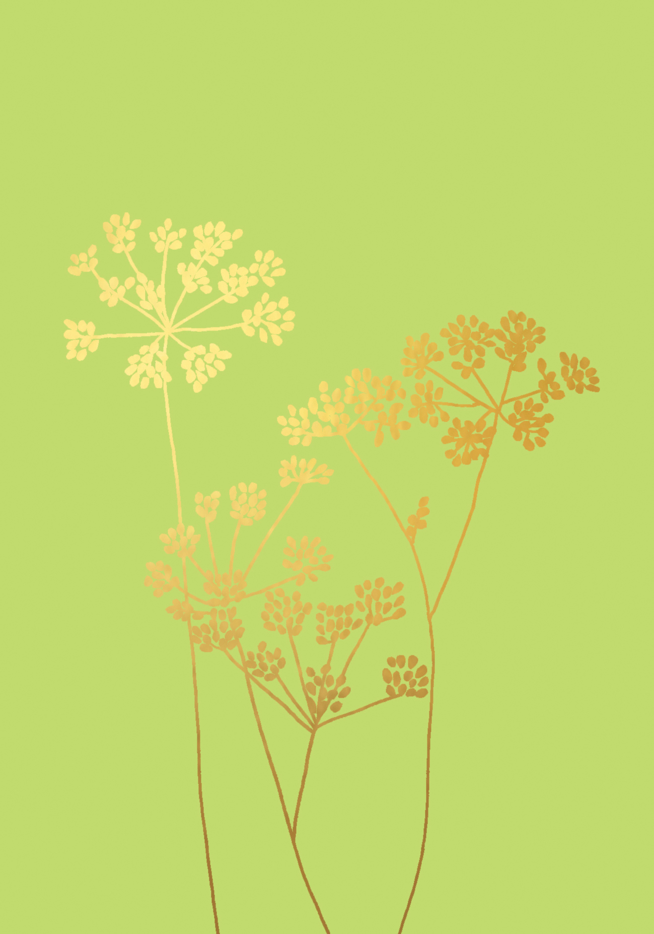 Fennel Blank Gold Greeting Card Fennel Blank Gold Greeting Card