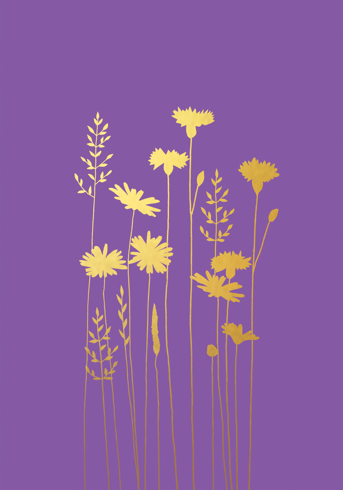Cornflower & Daisies Blank Gold Greeting Card Cornflower & Daisies Blank Gold Greeting Card
