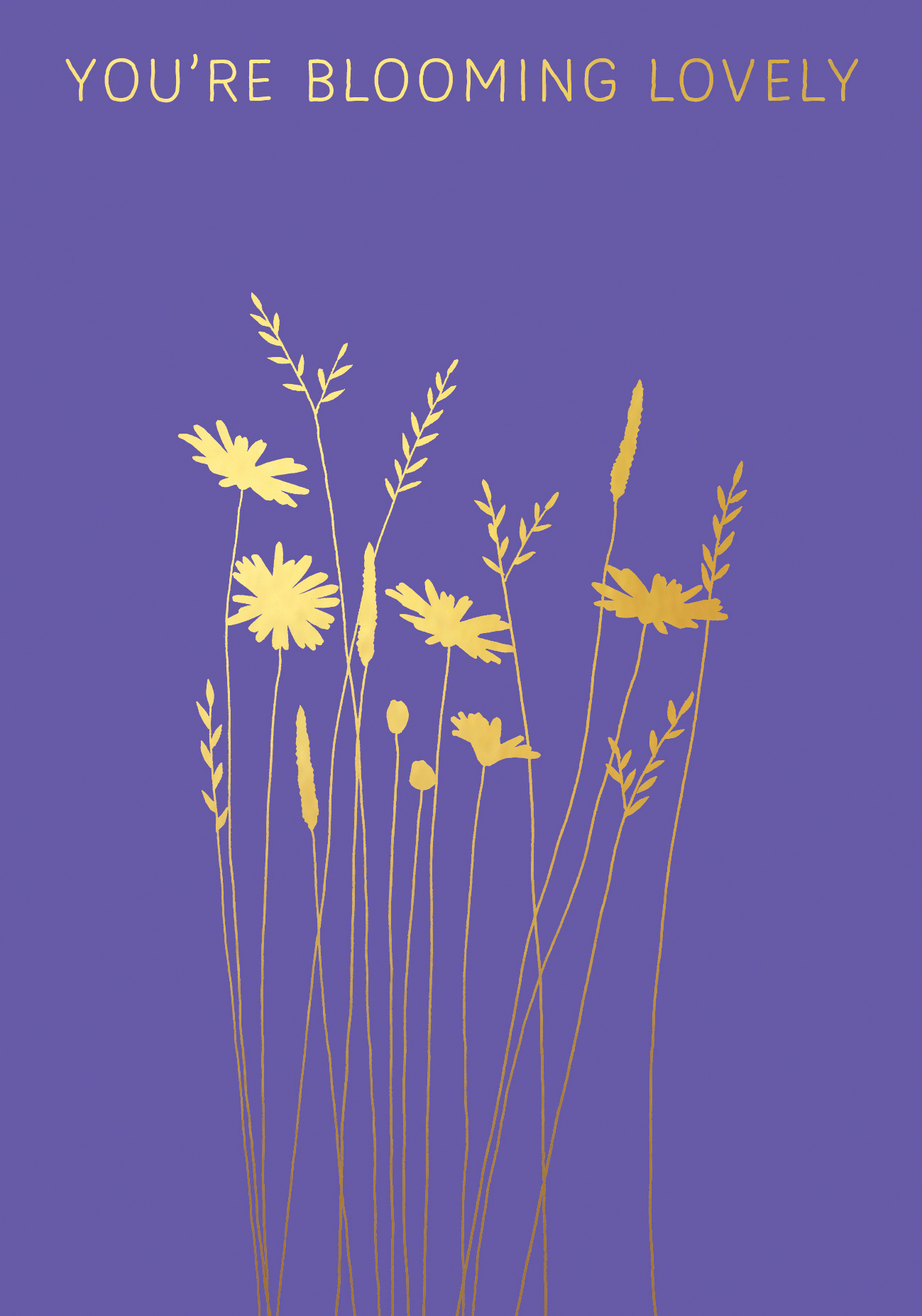 Daisies & Grass Blooming Lovely Greeting Card Daisies & Grass Blooming Lovely Greeting Card
