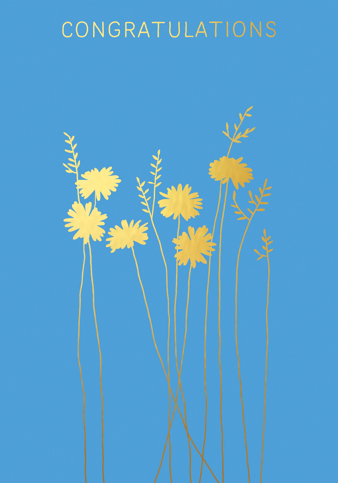 Daisies Congratulations Greeting Card Daisies Congratulations Greeting Card