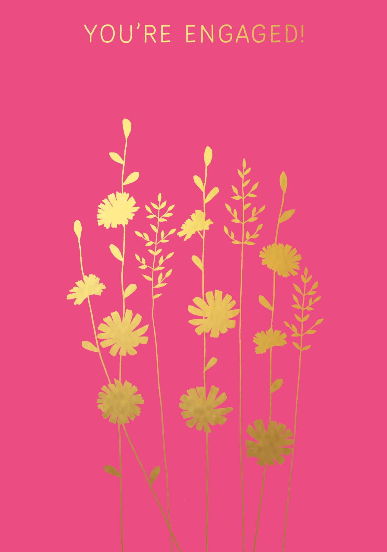 Chicory Engagement Greeting Card Chicory Engagement Greeting Card