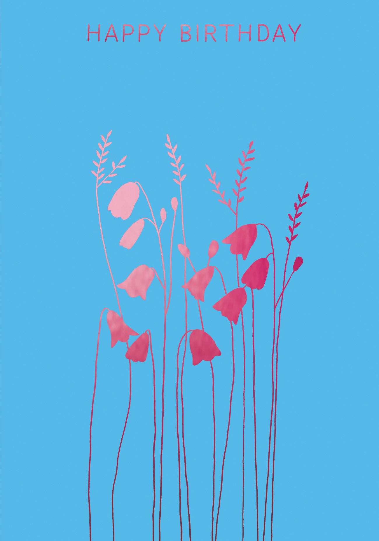 Echinacea Birthday Pink Greeting Card Echinacea Birthday Pink Greeting Card