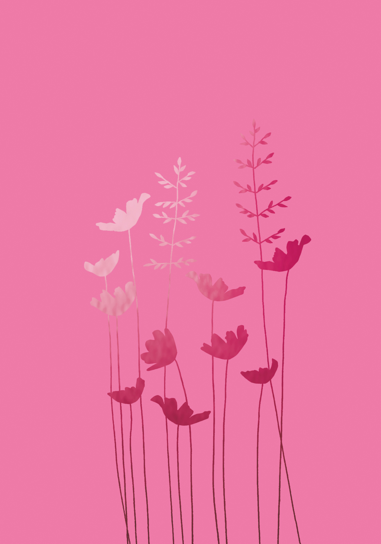 Anemones Blank Pink Greeting Card Anemones Blank Pink Greeting Card