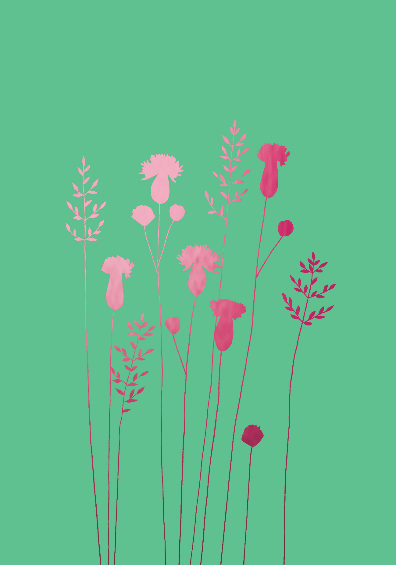 Thistles & Grass Blank Pink Greeting Card Thistles & Grass Blank Pink Greeting Card