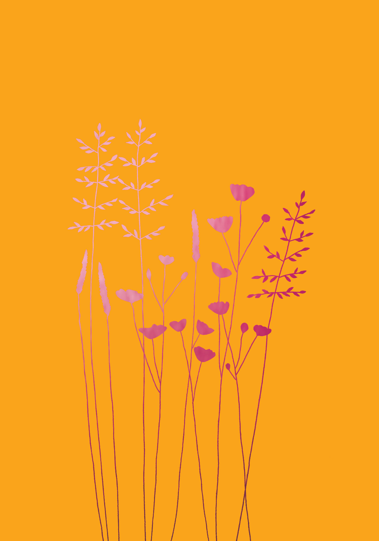 Buttercups & Daisies Blank Pink Greeting Card Buttercups & Daisies Blank Pink Greeting Card