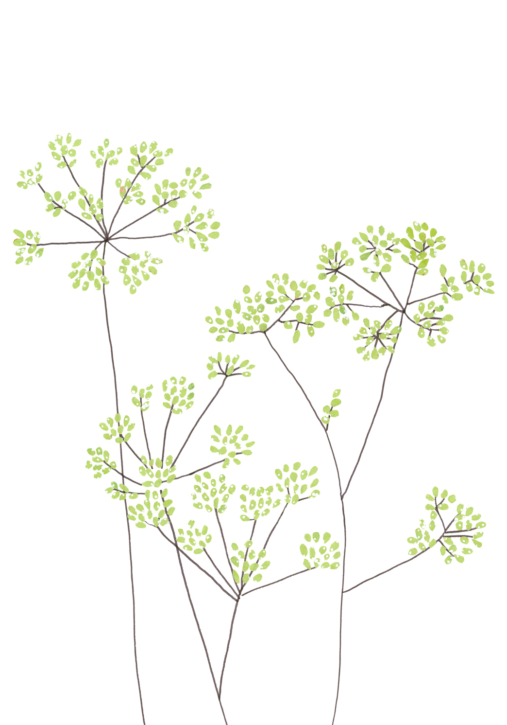 Fennel Greeting Card Fennel Greeting Card