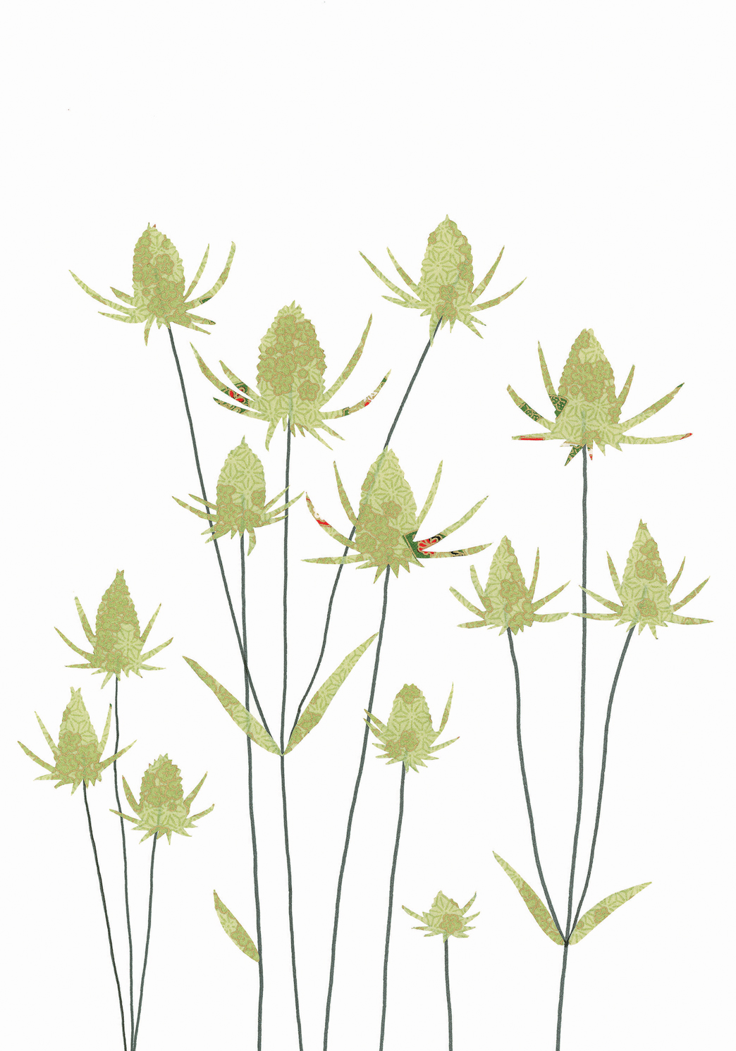 Teasels Greeting Card Teasels Greeting Card