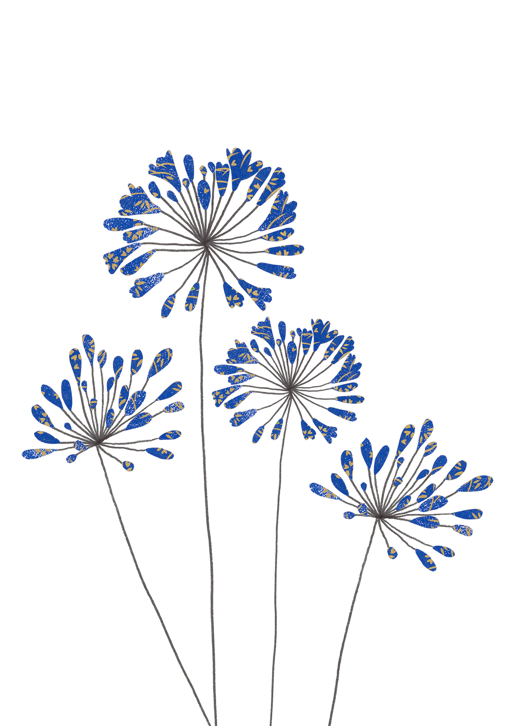 Agapanthus Greeting Card Agapanthus Greeting Card